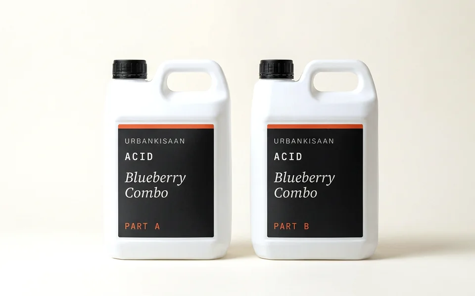 UK Blueberry Combo packs