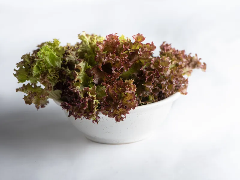 Red crispy lettuce in a white bowl