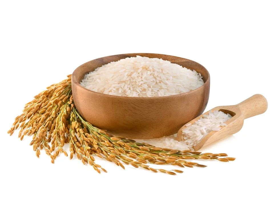 A white bowl of rice beside ripe rice panicles